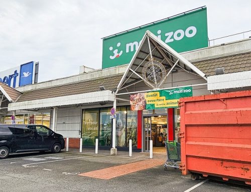 L’enseigne Maxi-zoo est arrivée
